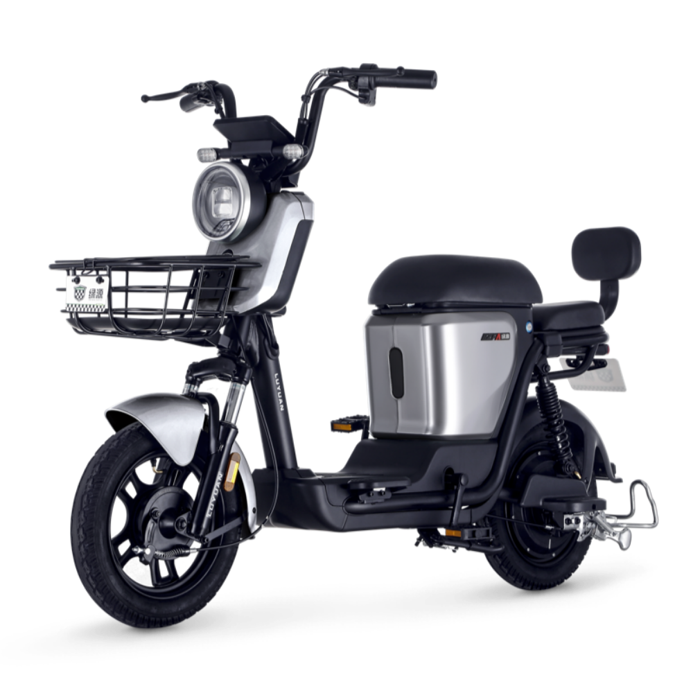 LUYUAN ZFA EEC L1